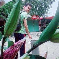 Tống Quang Bách avatar