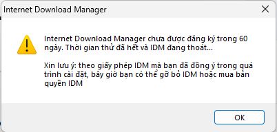 Lỗi khi cài IDM Patcher