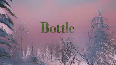 Bottle