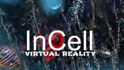 InCell VR