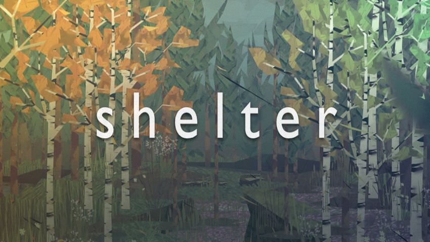 Shelter cover