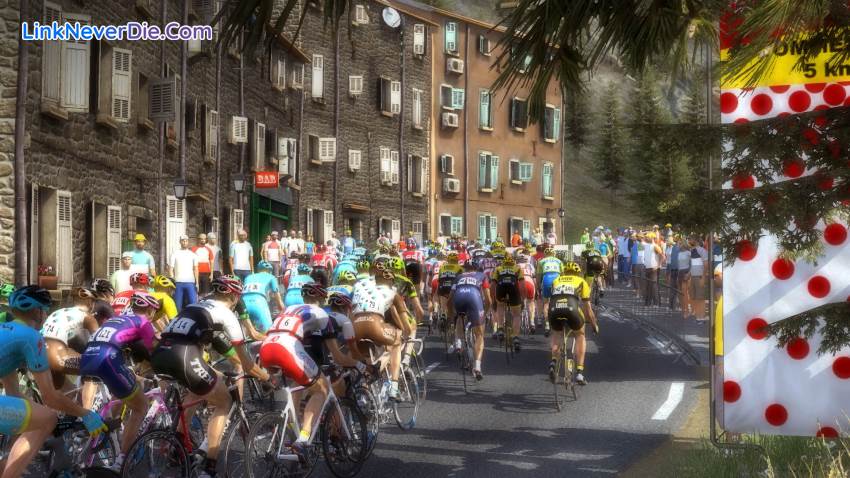 Hình ảnh trong game Pro Cycling Manager 2015 (screenshot)