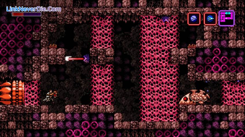 Hình ảnh trong game Axiom Verge (screenshot)