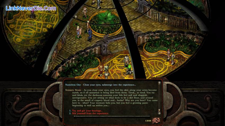 Hình ảnh trong game Planescape: Torment: Enhanced Edition (screenshot)