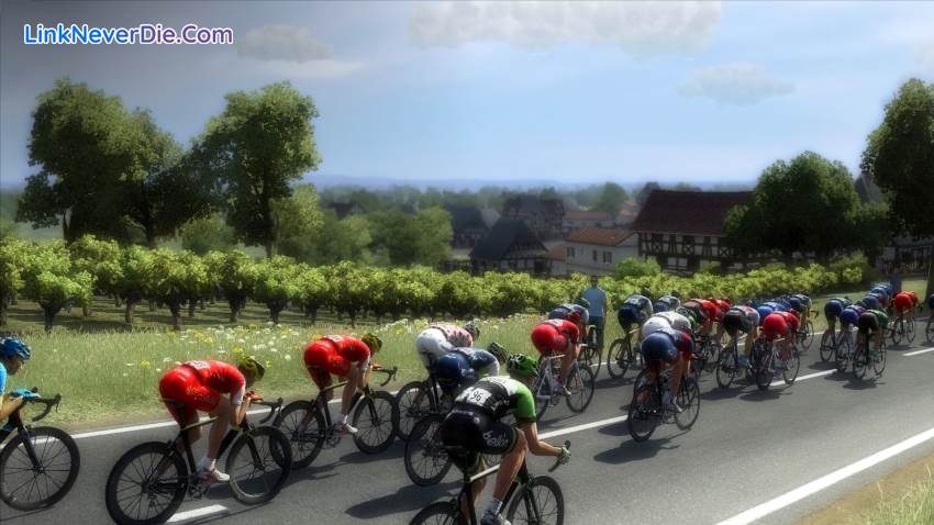 Hình ảnh trong game Pro Cycling Manager 2014 (screenshot)