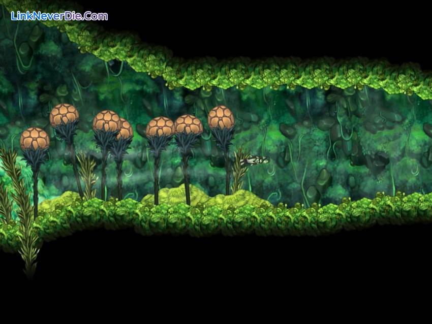 Hình ảnh trong game Aquaria (screenshot)