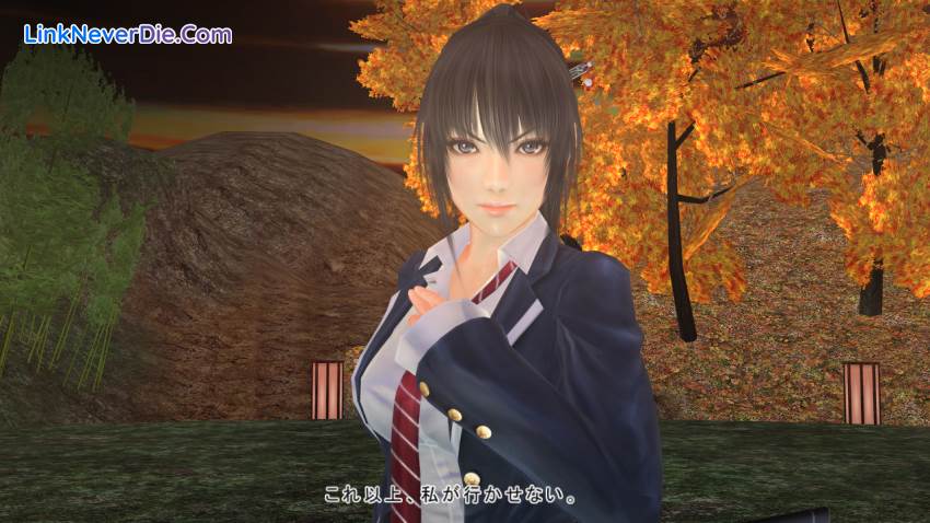 Hình ảnh trong game Mitsurugi Kamui Hikae (screenshot)