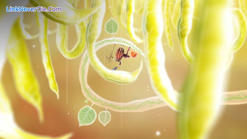 Hình ảnh trong game Botanicula (screenshot)