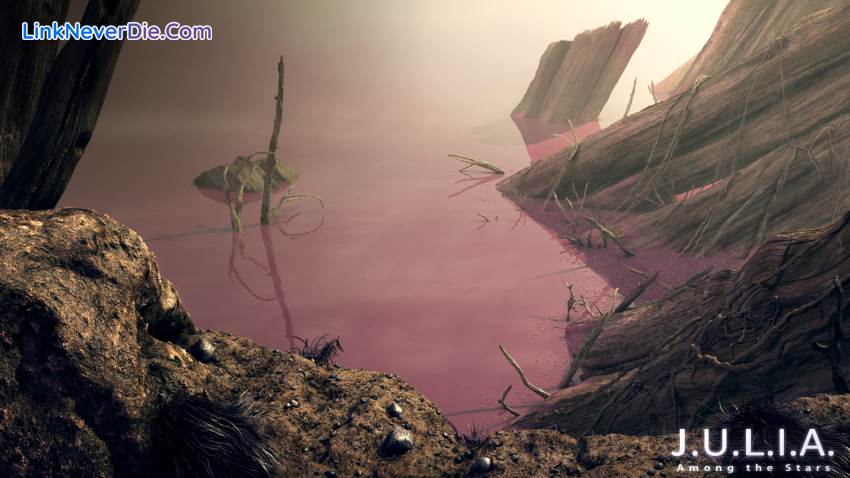 Hình ảnh trong game J.U.L.I.A.: Among the Stars (screenshot)