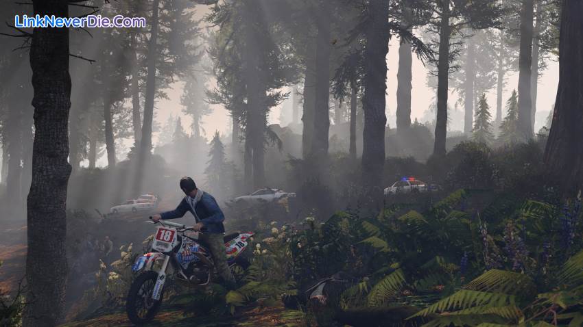 Hình ảnh trong game Grand Theft Auto 5 (screenshot)