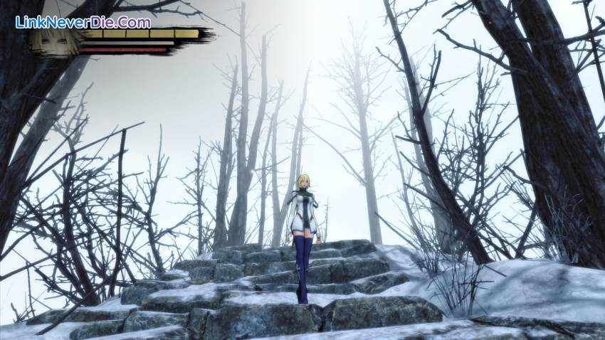 Hình ảnh trong game Anima Gate of Memories (screenshot)