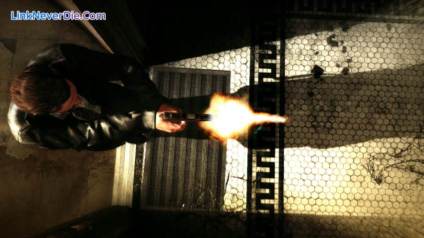 Hình ảnh trong game Max Payne 3 (screenshot)