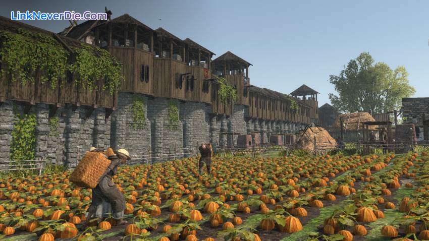 Hình ảnh trong game Life is Feudal: Forest Village (screenshot)