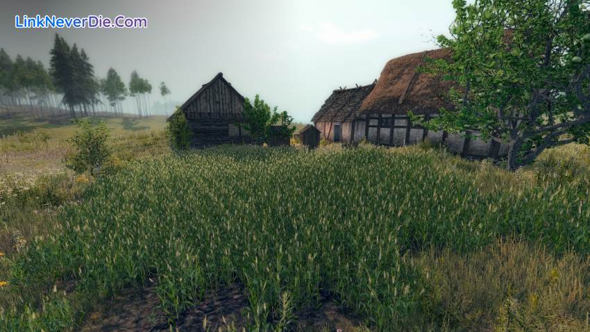 Hình ảnh trong game Life is Feudal: Your Own (screenshot)