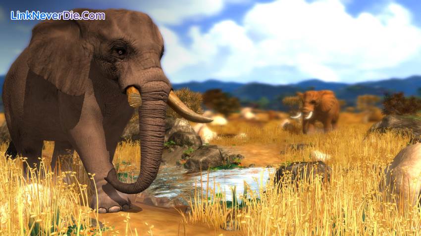 Hình ảnh trong game Wildlife Park Collection (screenshot)