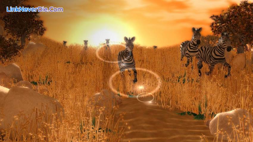 Hình ảnh trong game Wildlife Park Collection (screenshot)