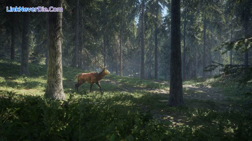 Hình ảnh trong game theHunter: Call of the Wild (screenshot)