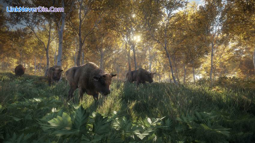 Hình ảnh trong game theHunter: Call of the Wild (screenshot)