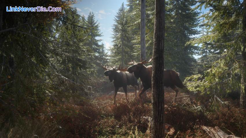 Hình ảnh trong game theHunter: Call of the Wild (screenshot)