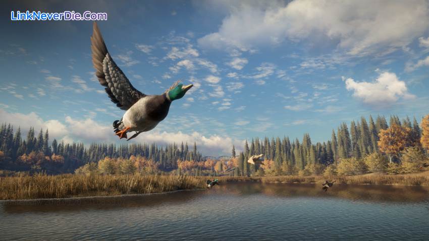 Hình ảnh trong game theHunter: Call of the Wild (screenshot)