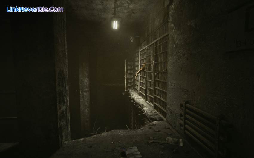 Hình ảnh trong game Outlast (screenshot)