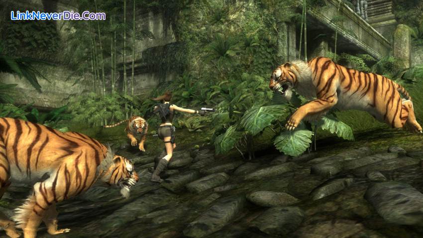 Hình ảnh trong game Tomb Raider: Underworld (screenshot)