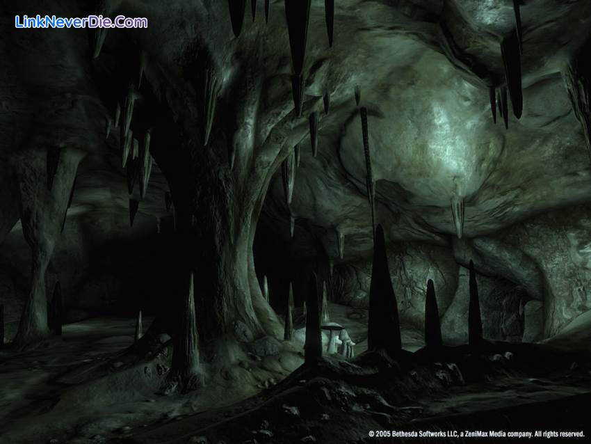 Hình ảnh trong game The Elder Scrolls IV: Oblivion (screenshot)