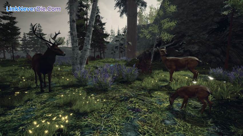 Hình ảnh trong game The Hunting God (screenshot)