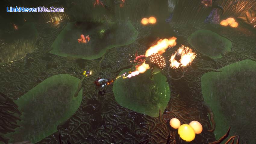 Hình ảnh trong game Eliosi's Hunt (screenshot)