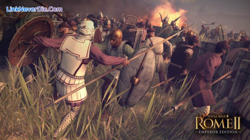 Hình ảnh trong game Total War: Rome 2 Emperor Edition (screenshot)