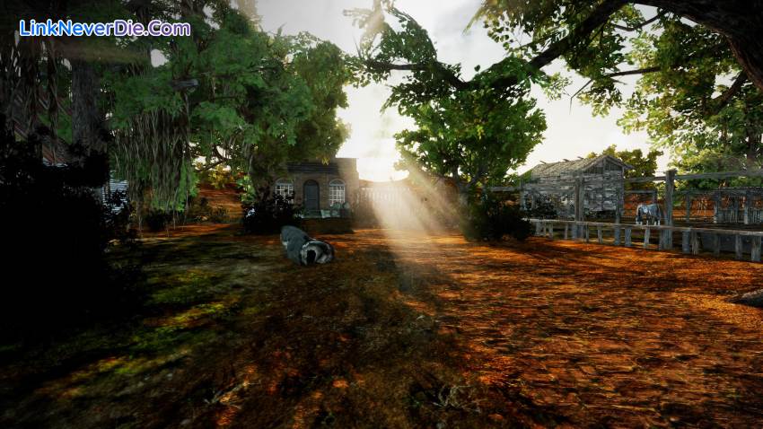 Hình ảnh trong game Animallica (screenshot)