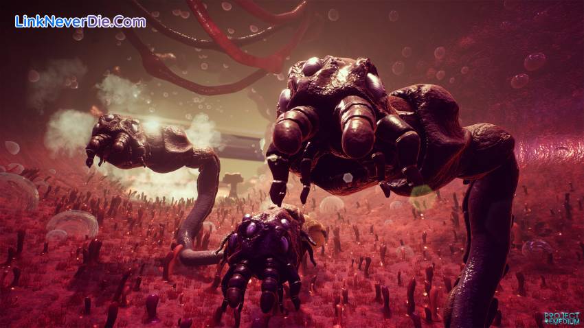 Hình ảnh trong game Project Remedium (screenshot)