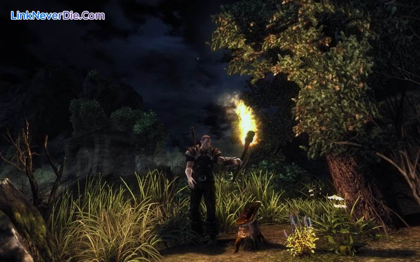 Hình ảnh trong game Risen (screenshot)