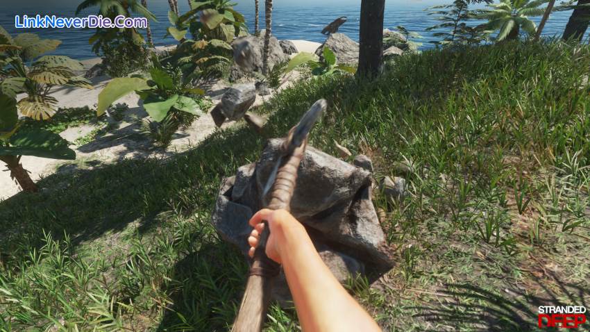 Hình ảnh trong game Stranded Deep (screenshot)