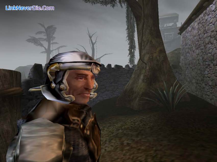 Hình ảnh trong game The Elder Scrolls 3 Morrowind Game Of Year (screenshot)