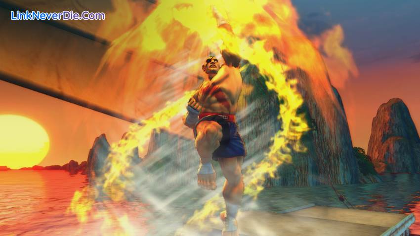 Hình ảnh trong game Street Fighter IV (screenshot)