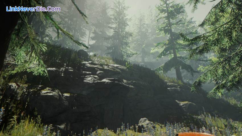 Hình ảnh trong game The Forest (screenshot)