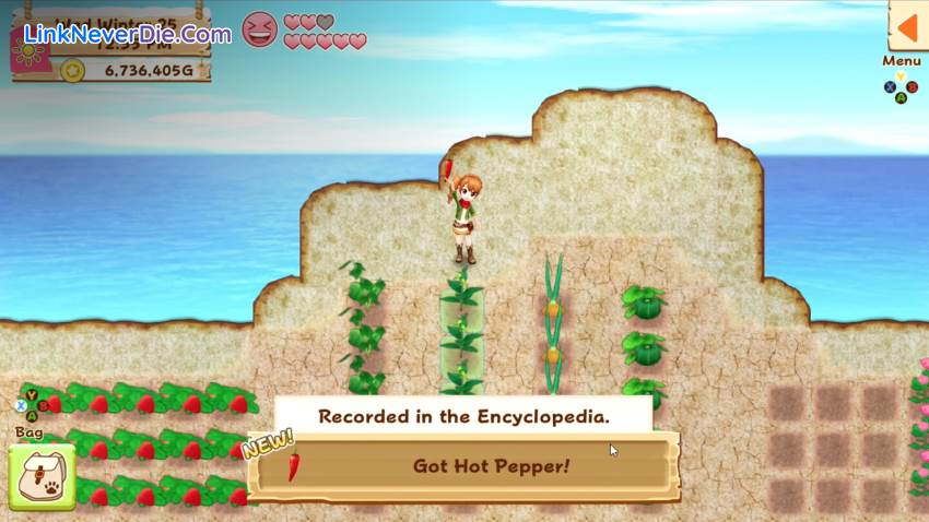 Hình ảnh trong game Harvest Moon: Light of Hope (screenshot)