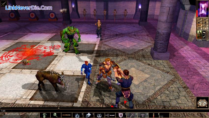 Hình ảnh trong game Neverwinter Nights: Enhanced Edition (screenshot)