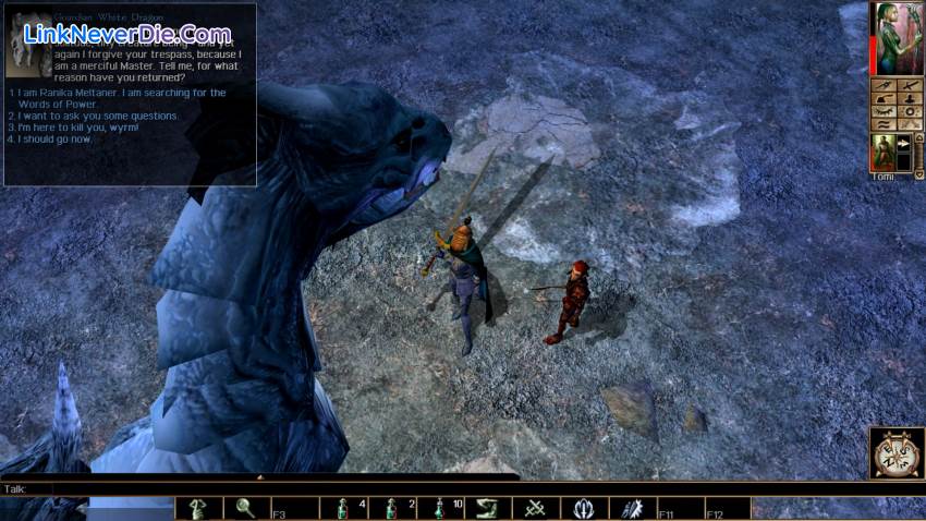 Hình ảnh trong game Neverwinter Nights: Enhanced Edition (screenshot)