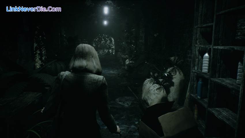 Hình ảnh trong game Remothered: Tormented Fathers (screenshot)