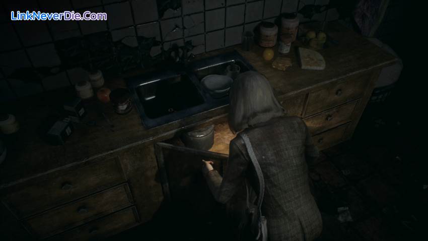 Hình ảnh trong game Remothered: Tormented Fathers (screenshot)