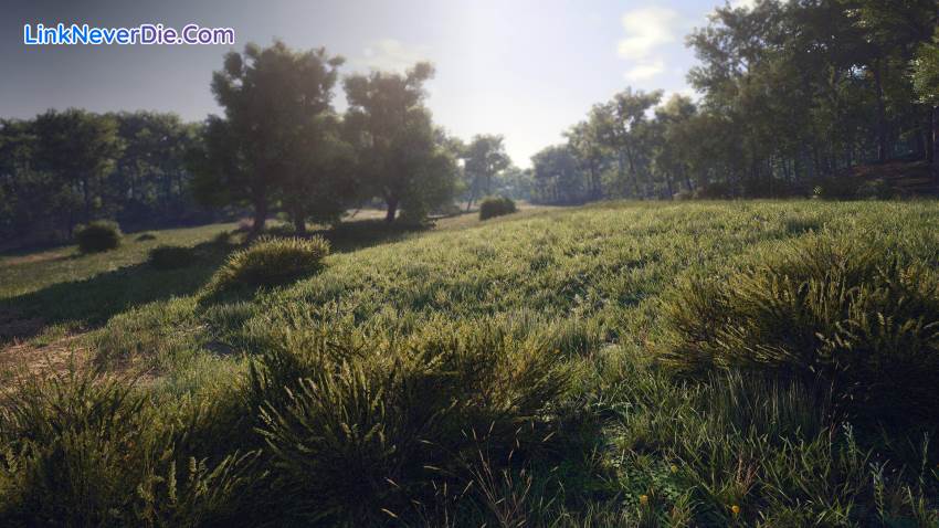 Hình ảnh trong game SCUM (screenshot)