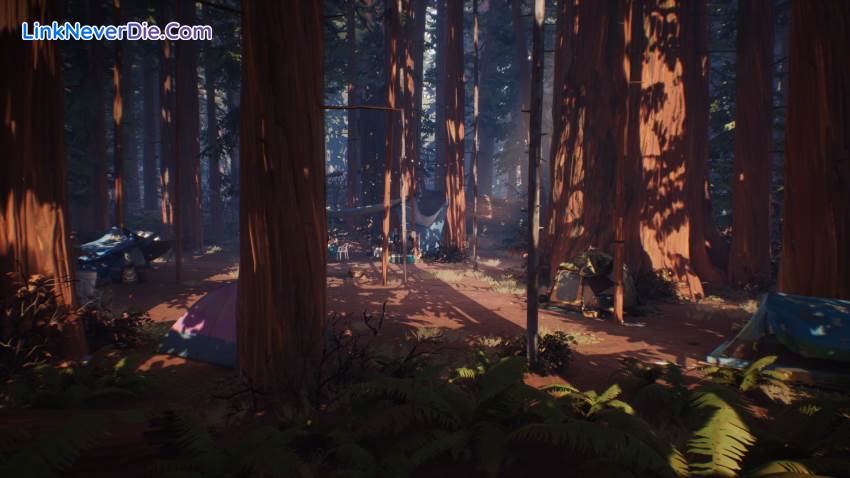 Hình ảnh trong game Life is Strange 2 (screenshot)