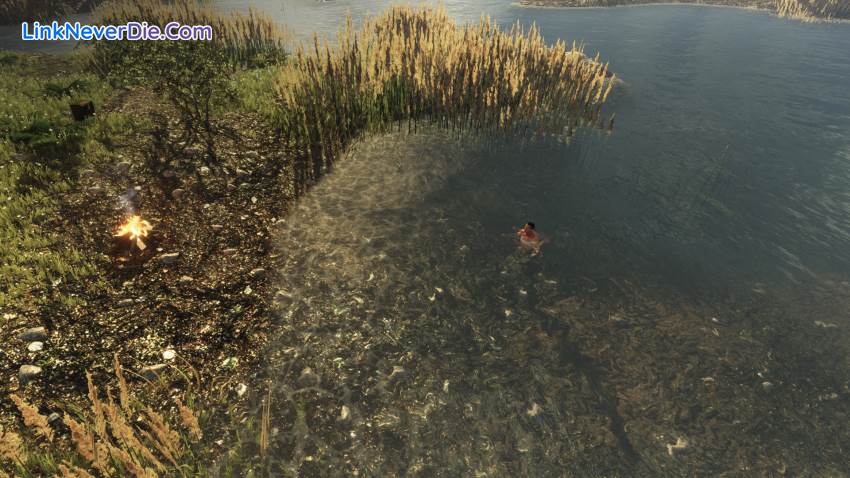 Hình ảnh trong game Subsistence (screenshot)