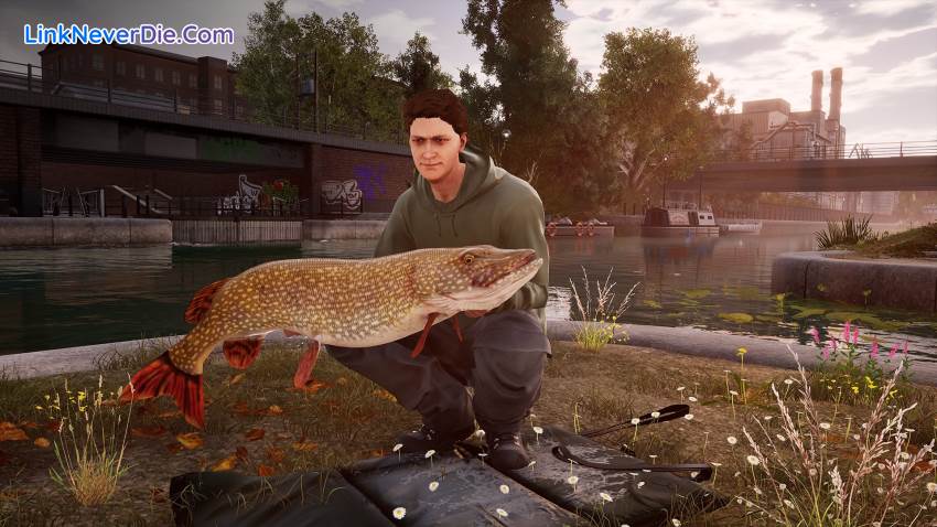 Hình ảnh trong game Fishing Sim World (screenshot)