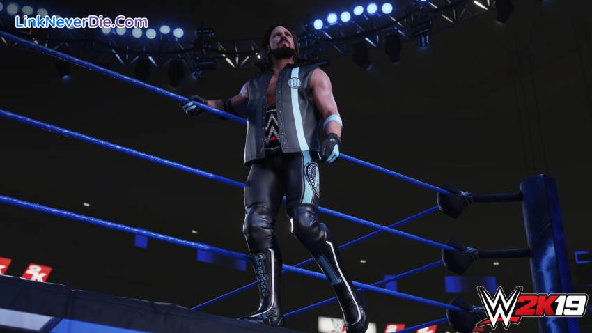 Hình ảnh trong game WWE 2k19 (screenshot)