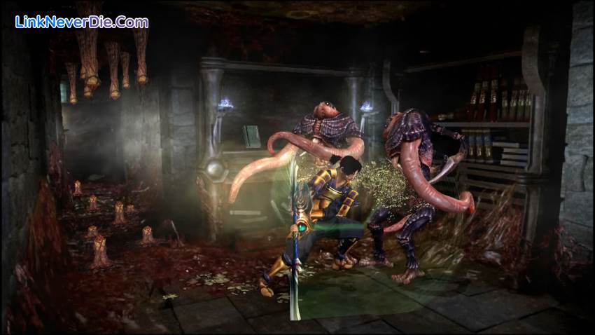 Hình ảnh trong game Onimusha: Warlords (screenshot)