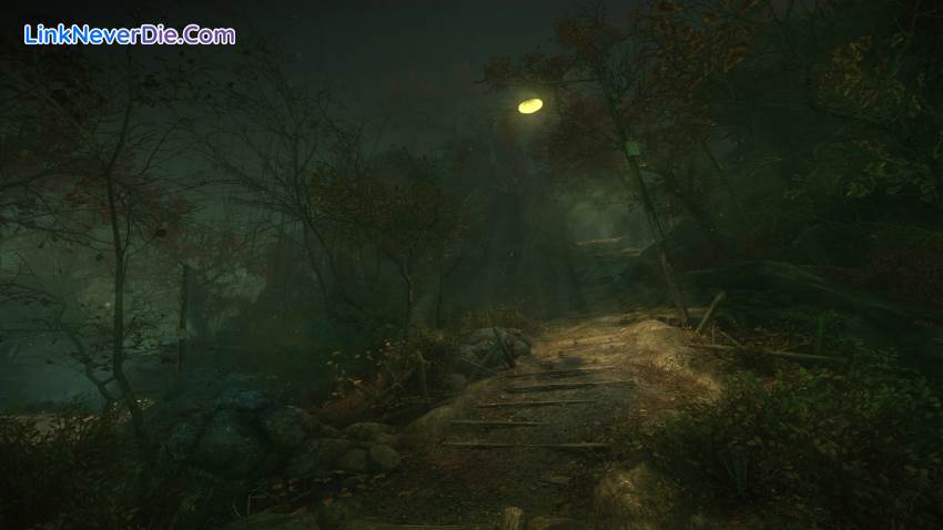 Hình ảnh trong game The Cursed Forest (screenshot)