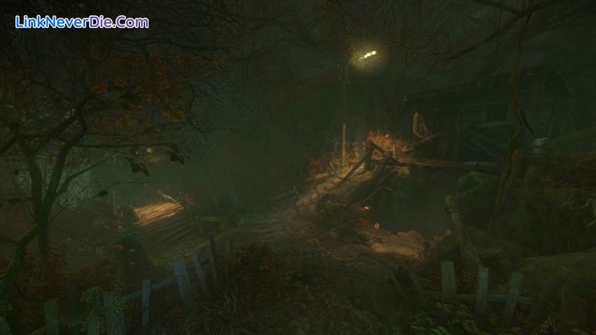 Hình ảnh trong game The Cursed Forest (screenshot)